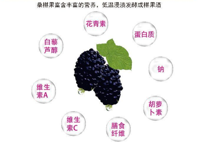 什么是養(yǎng)生酒有哪些酒是養(yǎng)生酒